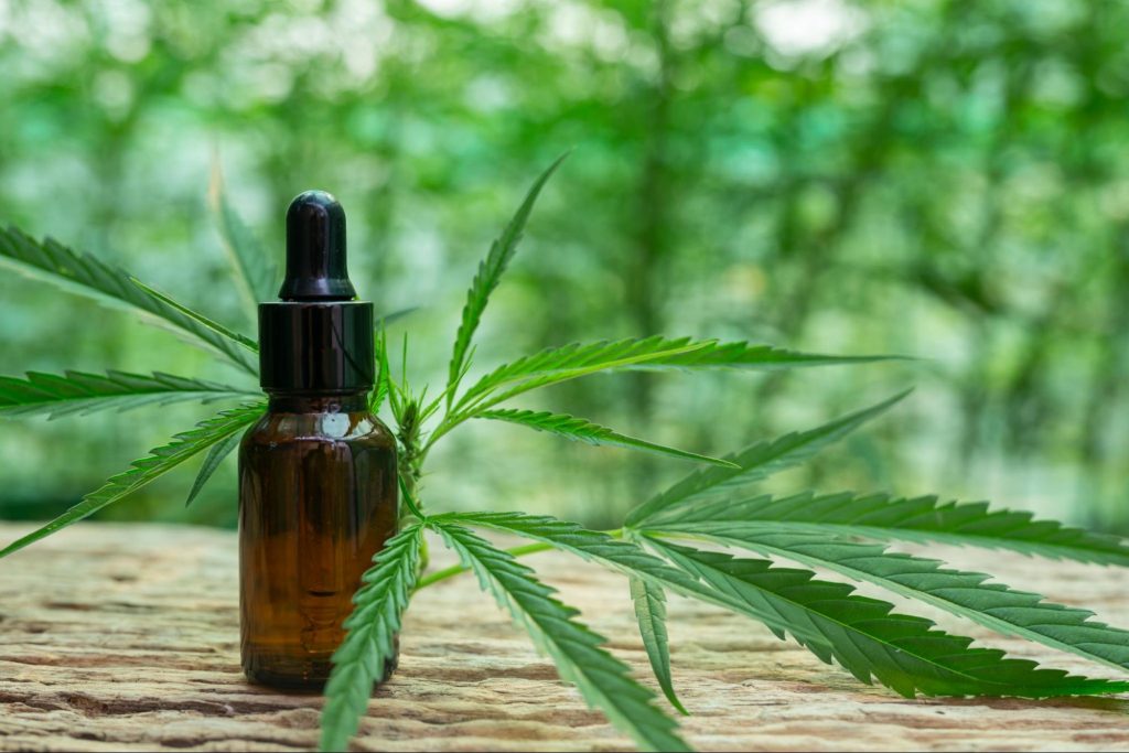 Ampola de remédio e folha de cannabis em uma superfície de madeira, com um fundo de plantas.