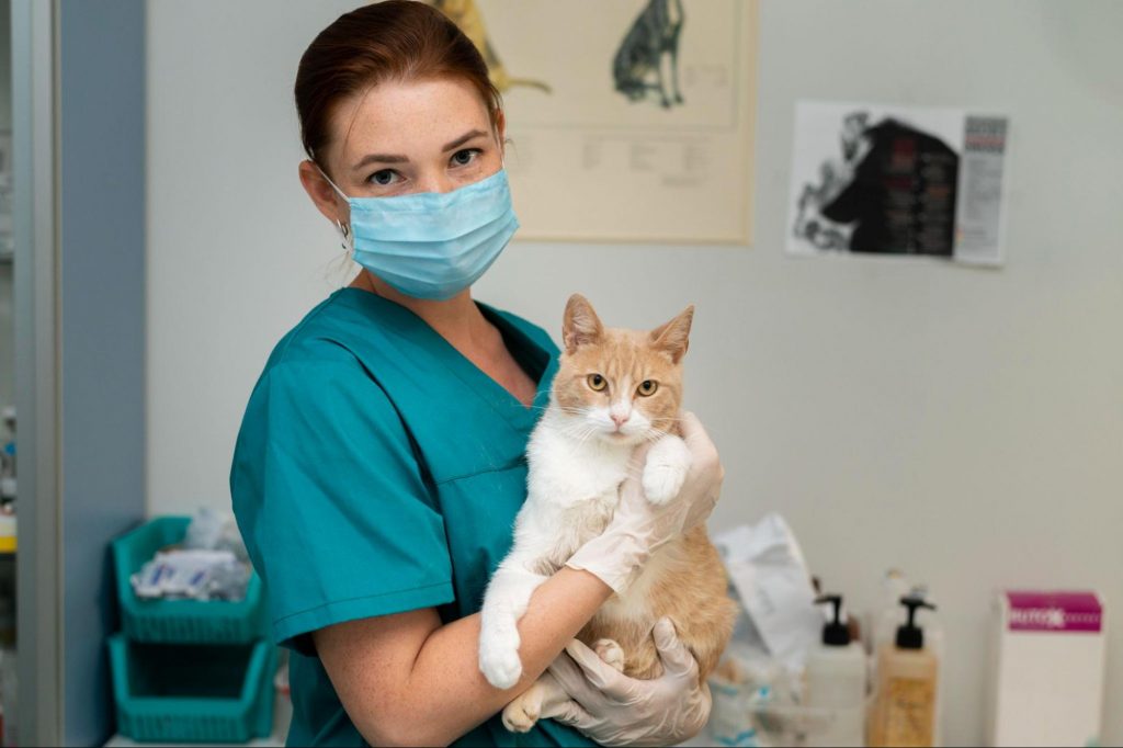 Médica usando máscara e vestimenta de hospital segurando um animal de estimação, gato