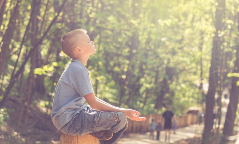 Um menino de pele branca está sentado em um tronco de madeira em um parque tomando sol, a principal forma de obter vitamina D, e ao fundo há um homem e duas crianças caminhando.